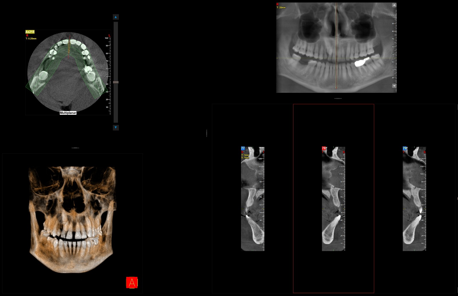 WhatsApp Image 2026-02-25 at 5.09.01 PM